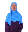 صورة العاملة